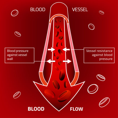 biotic TestoBoost Patch